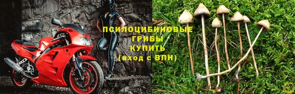 меф Алзамай