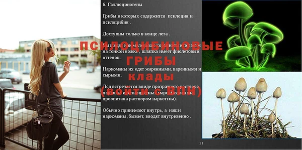 трава Алексеевка