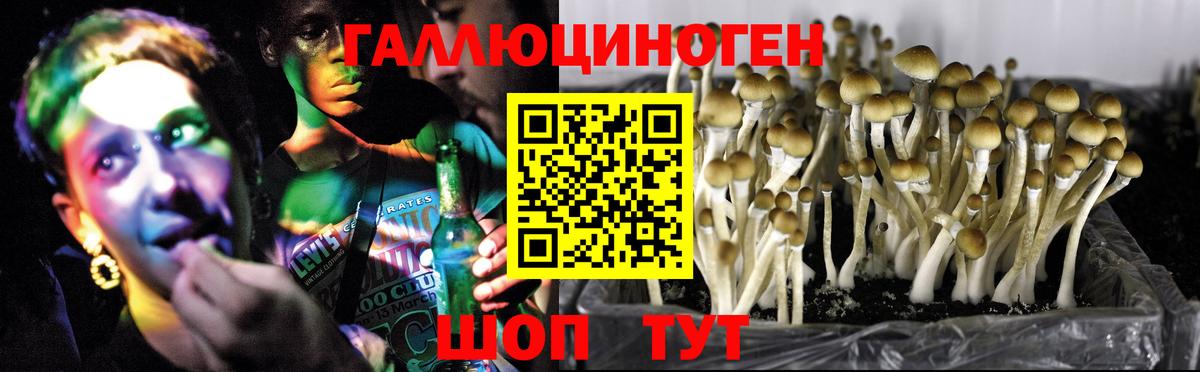 Полевской  Псилоцибиновые грибы GOLDEN TEACHER  Вход с VPN 